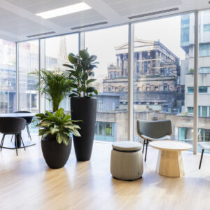 BCO NextGen Scotland: Lets Talk About… Mentoring