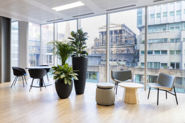 BCO NextGen Scotland: Lets Talk About… Mentoring
