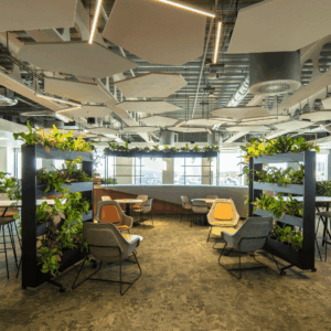 BCO North Talk & Tour: Cundall, Bank House